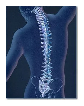 Chiropractor logo