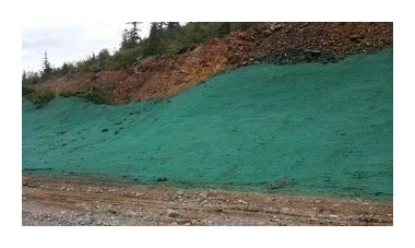 Nyasha Hydroseeding logo