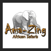 Amazing Pilanesberg Safaris logo