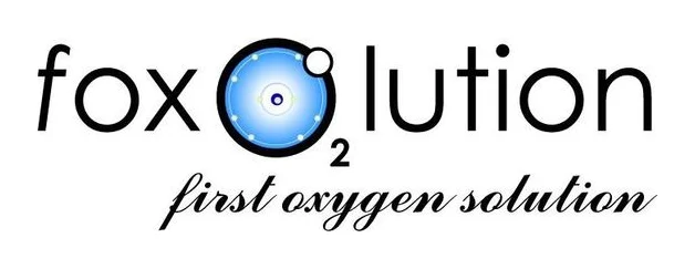 Foxolution Systems Engineering CC logo