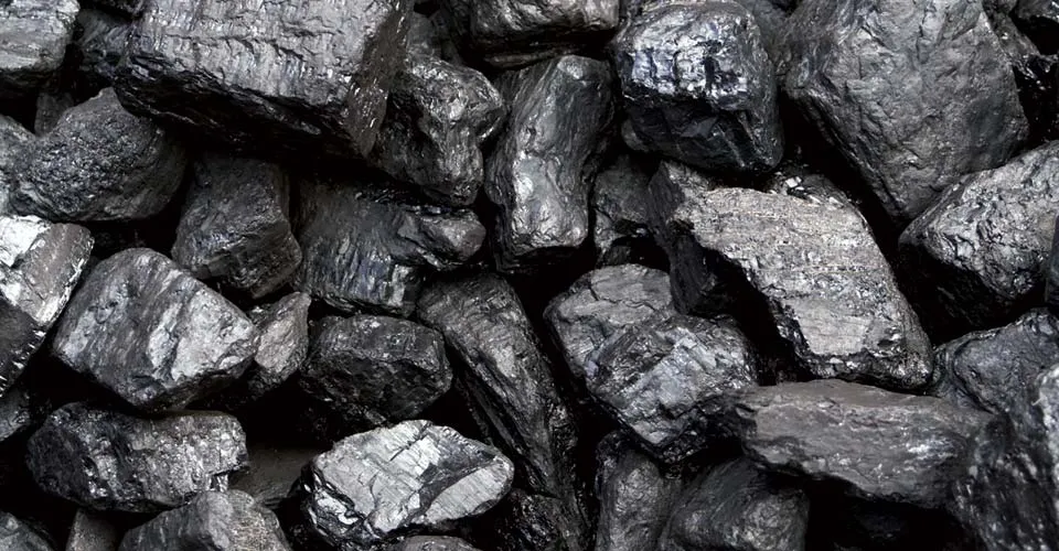 Endoya Coal photo 1