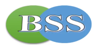 BSS - Business Service Solutions logo