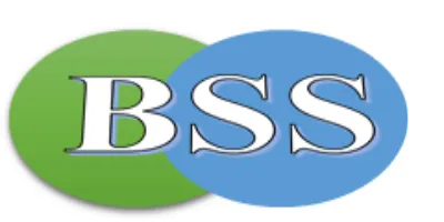BSS - Business Service Solutions photo 1