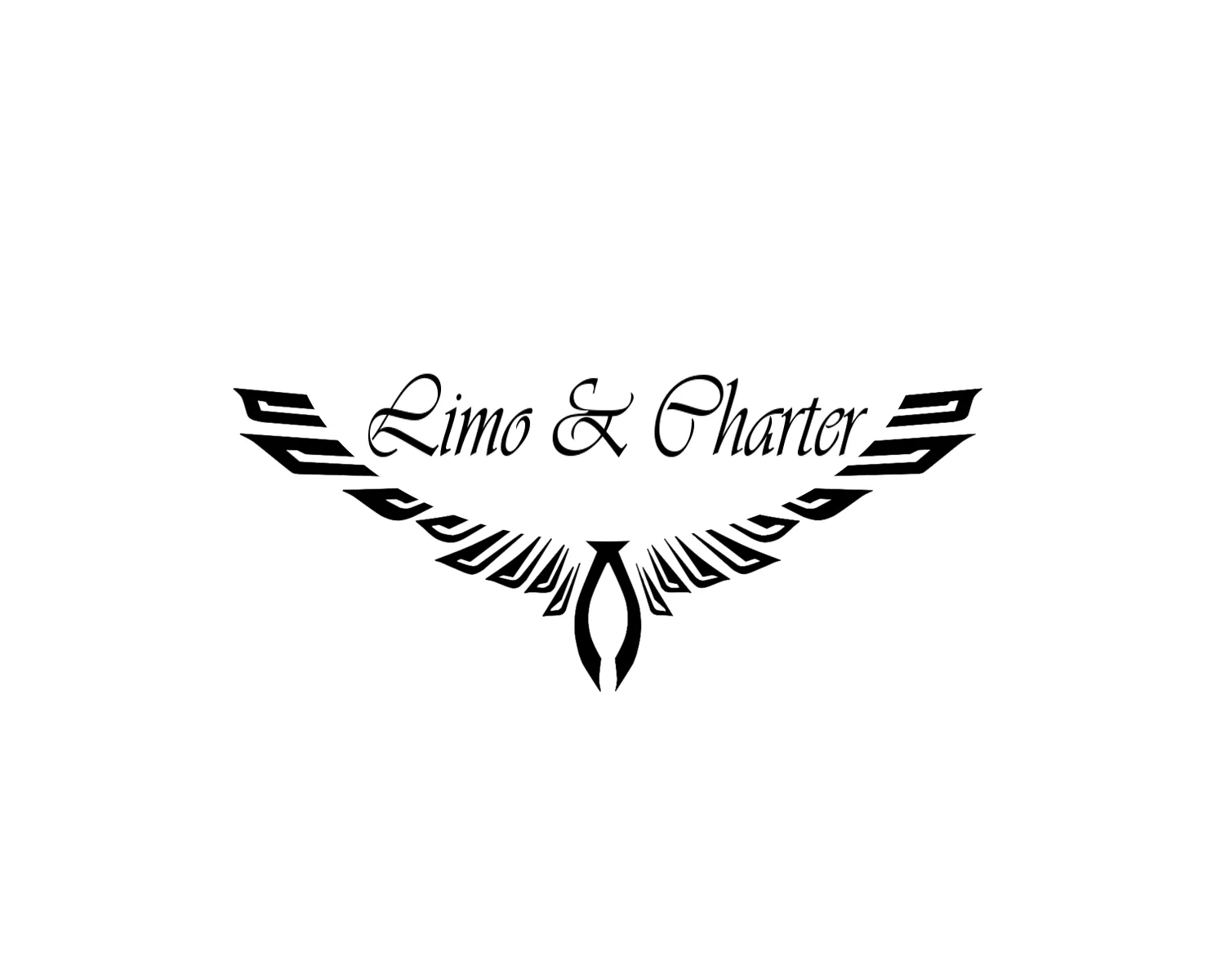 Limo and Charter photo 1