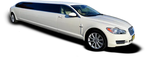 Limo and Charter photo 4