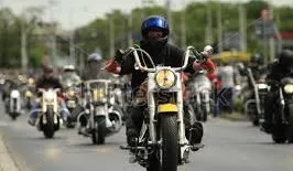 Harley's Safaris photo 1