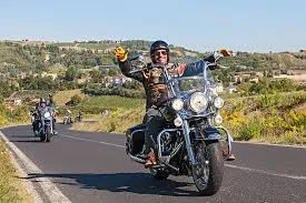 Harley's Safaris photo 2