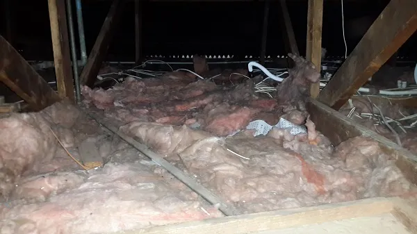 Ceiling Vacuuming & Roof Cleaning Services photo 3