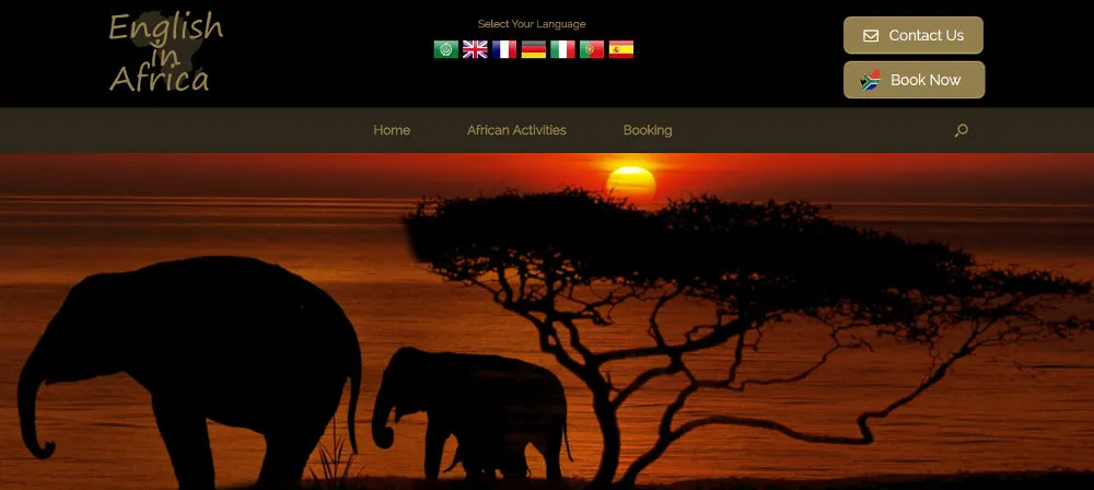 G Web Design photo 4