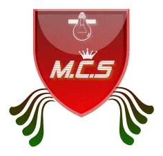 Mzanzi Corporate Solutions CC logo