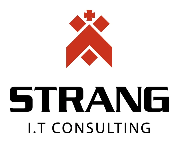STRANG IT CONSULTING logo