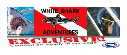 White Shark Adventures logo