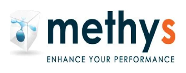 Methys Consulting logo