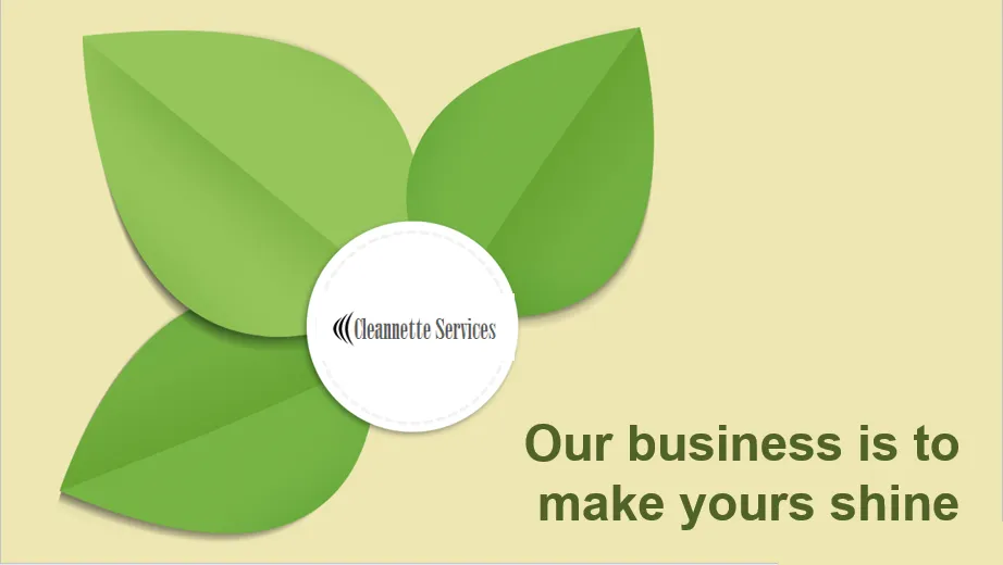 Cleannette Services photo 1