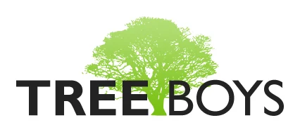 Tree Boys logo