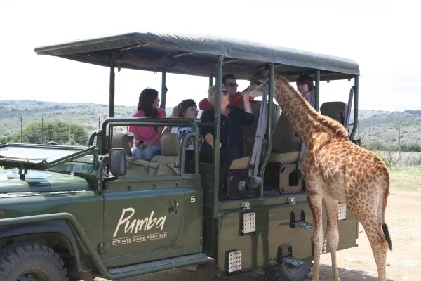 Kingsview Safaris photo 3