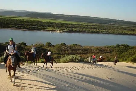 Kingsview Safaris photo 4