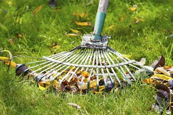 Garden Services Johannesburg photo 1
