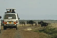 Africa Venture Safaris photo 2