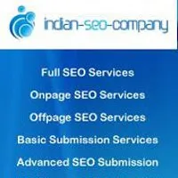 Get 100% satisfied result with 'Google Panda and Penguin Recovery Service' photo 1