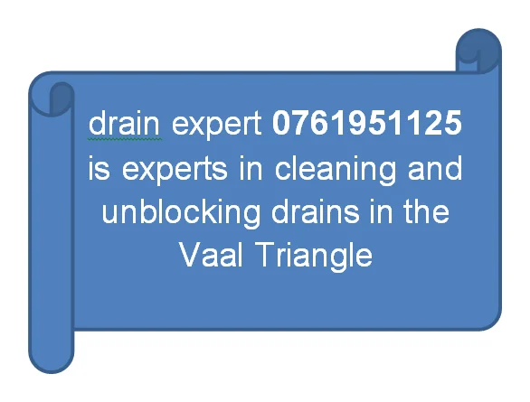 drain expert logo