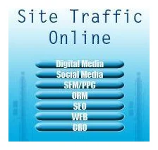 Site Traffic Online logo