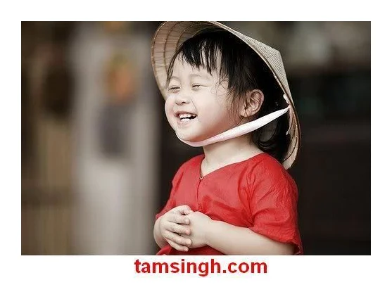 Tam Singh Travel Vietnam logo