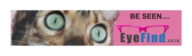 www.eyefind.co.za logo
