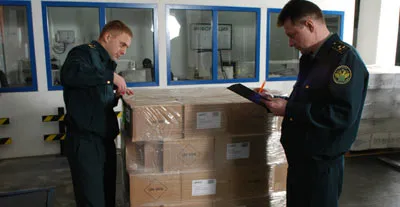 BusyBee Removals photo 4