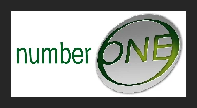 Number 1: IT and Web Solutions logo
