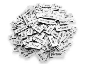 Euro Lingo photo 4