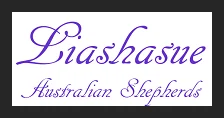 Liashasue Australian Shepherds logo
