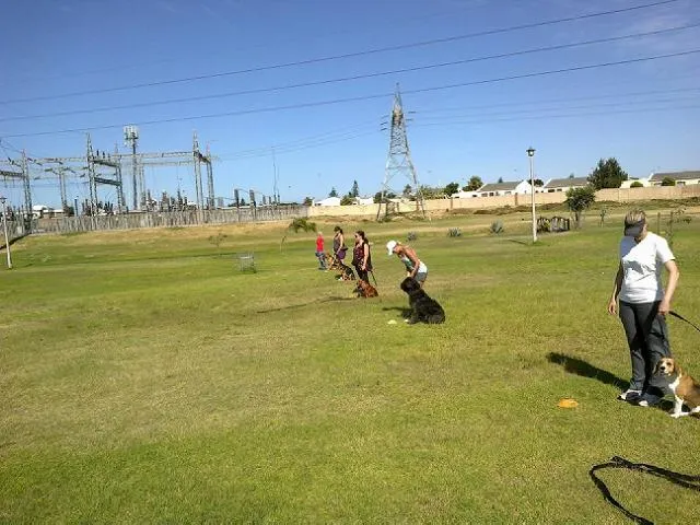 Edu Dog Training School photo 1