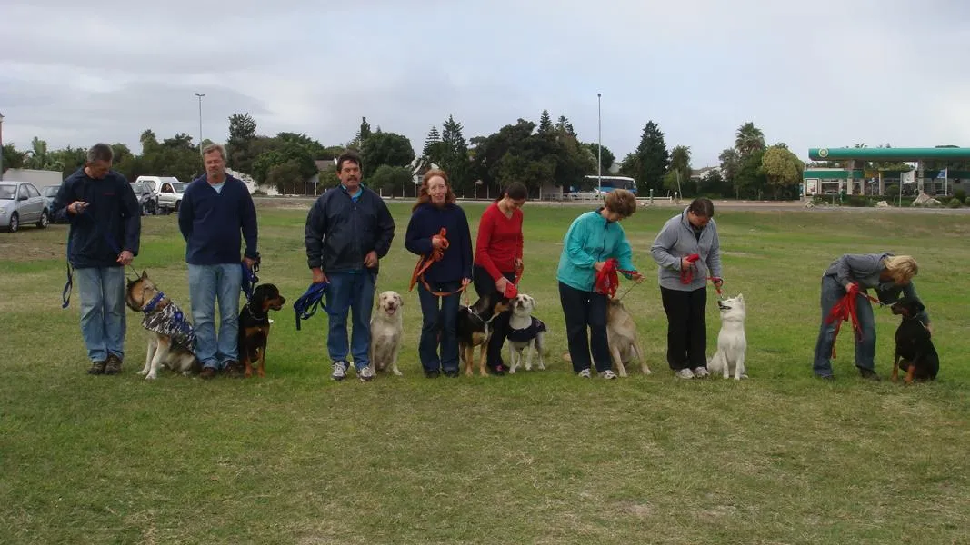 Edu Dog Training School photo 2