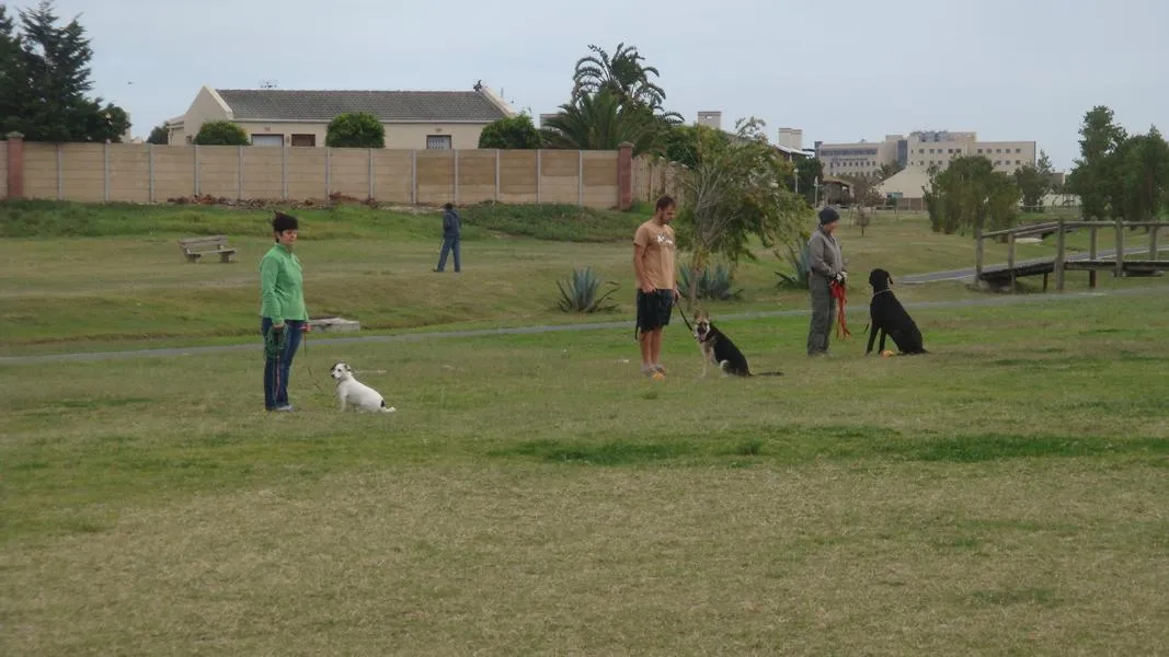 Edu Dog Training School photo 3