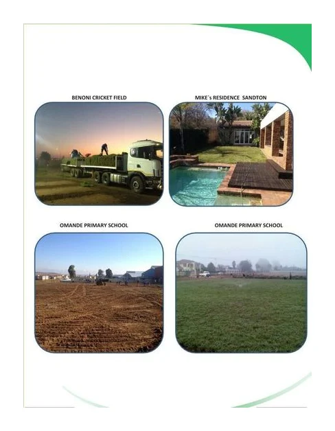 Emirates Instant Lawns logo