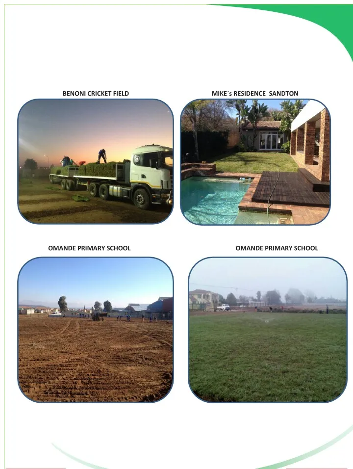 Emirates Instant Lawns photo 1