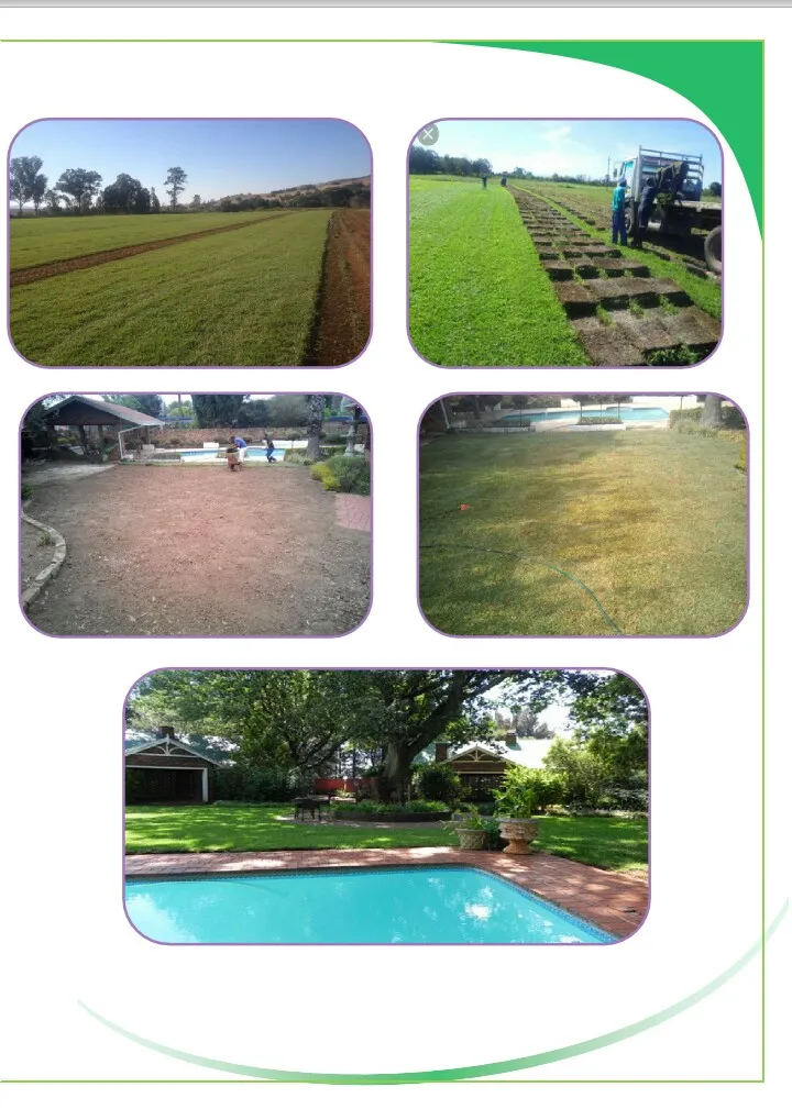 Emirates Instant Lawns photo 2