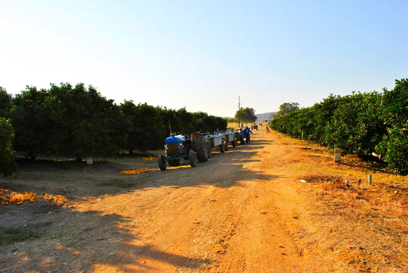 Letaba Estates photo 2