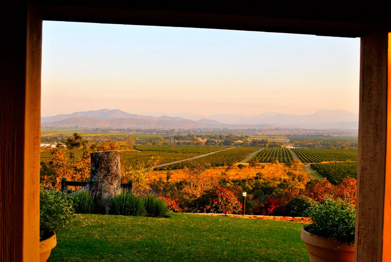 Letaba Estates photo 4