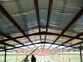Brenkosteel and fencing photo 1
