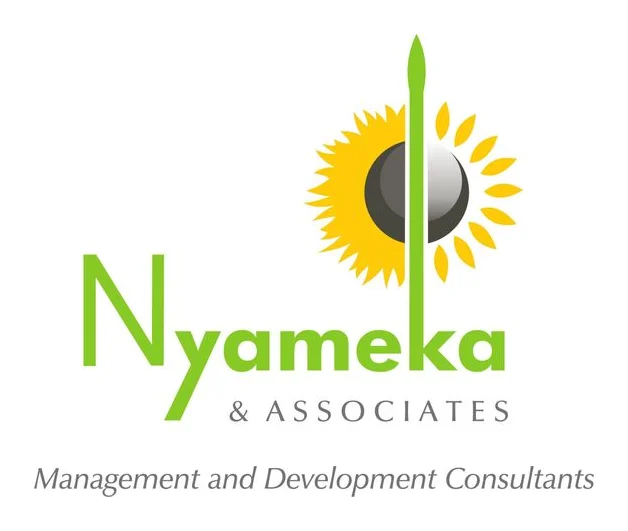 Nyameka & Associates Management and Development Consultants logo