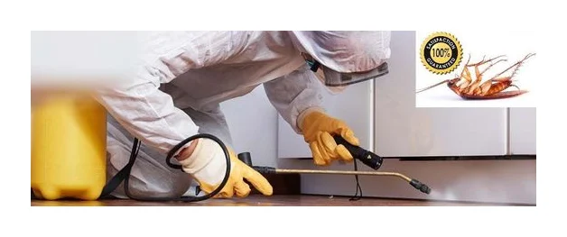 pest control pros logo