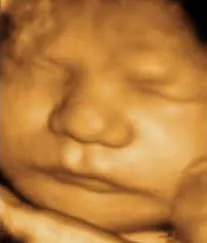 Life Scan Studio photo 4