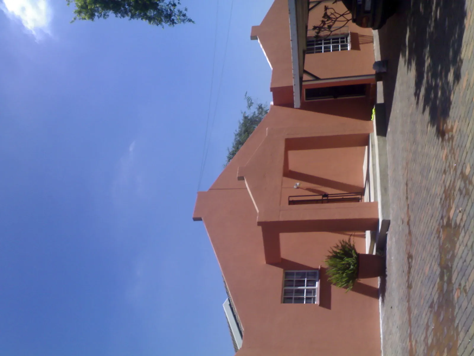 DOGgermanCarSpecialists photo 1