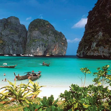 Chandini Travel and Tours photo 3