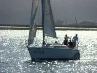 Garden Route Sailing Adventures photo 1