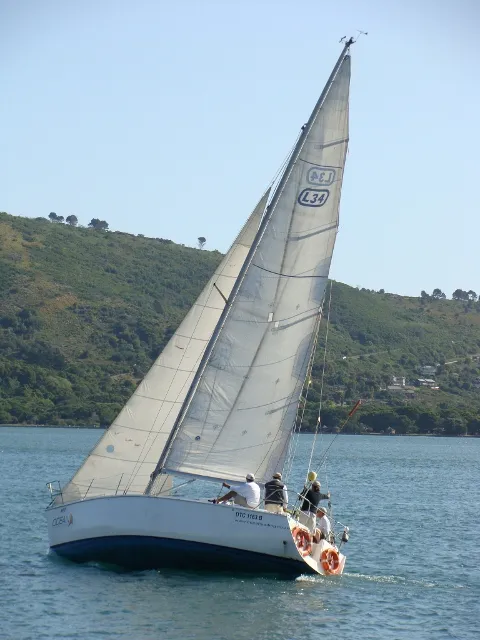 Garden Route Sailing Adventures photo 3