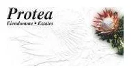 PROTEA ESTATES logo