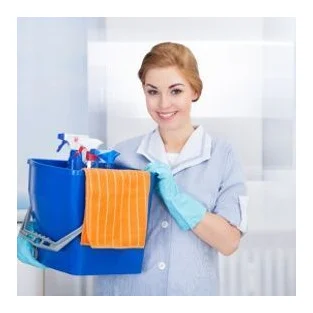 Gecci Cleaning & Maid Hiring Services logo